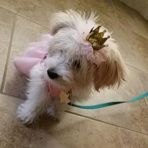 Meet your Posher, Cherilynn